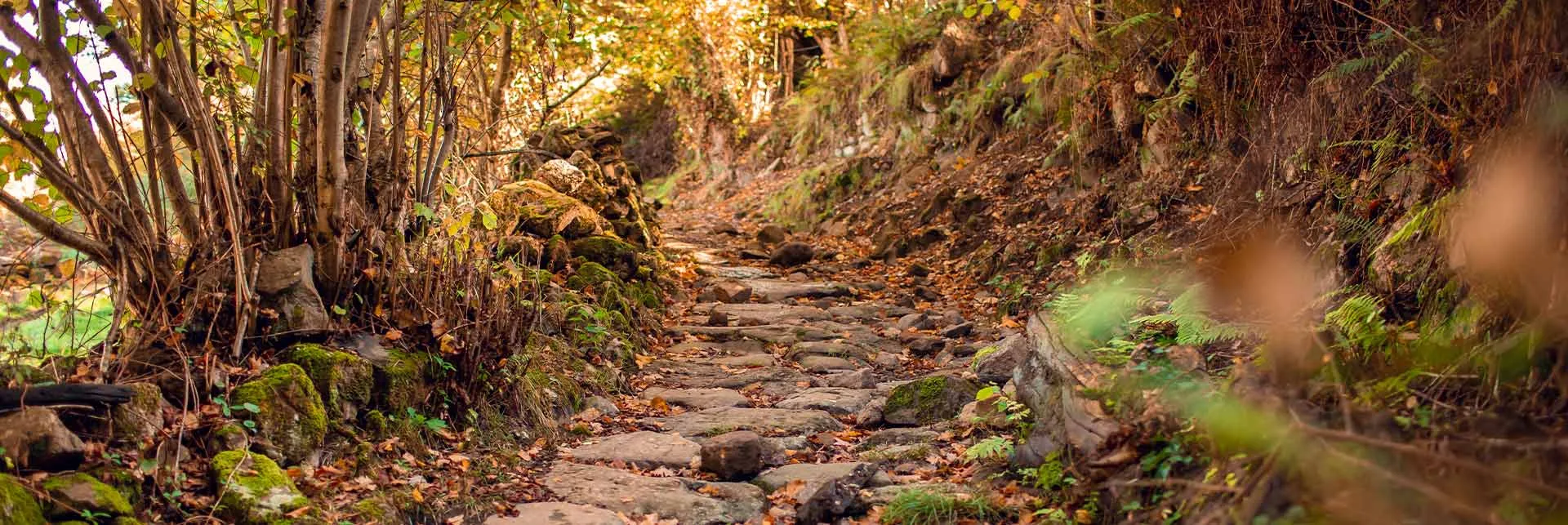 Nature Trail